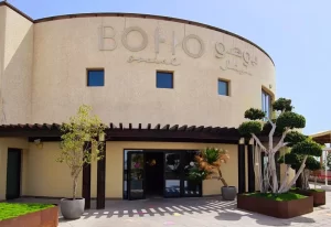 boho social menu
