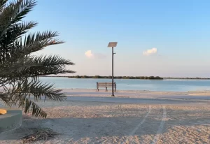 Al Thakira mangroves