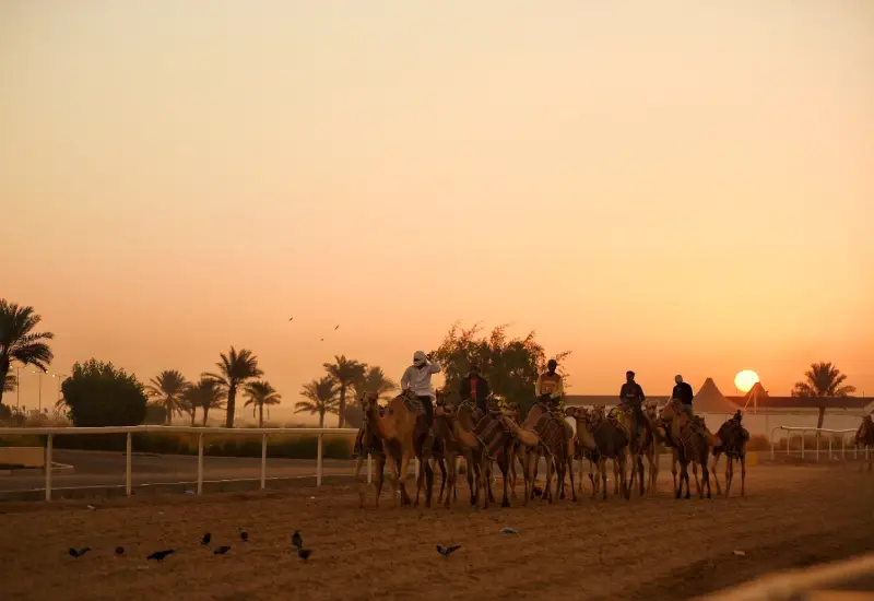 al shahaniyah schedule