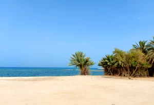 Umm Bab Beach