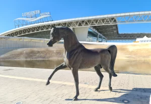 al shaqab