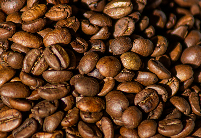 arabic coffee beans