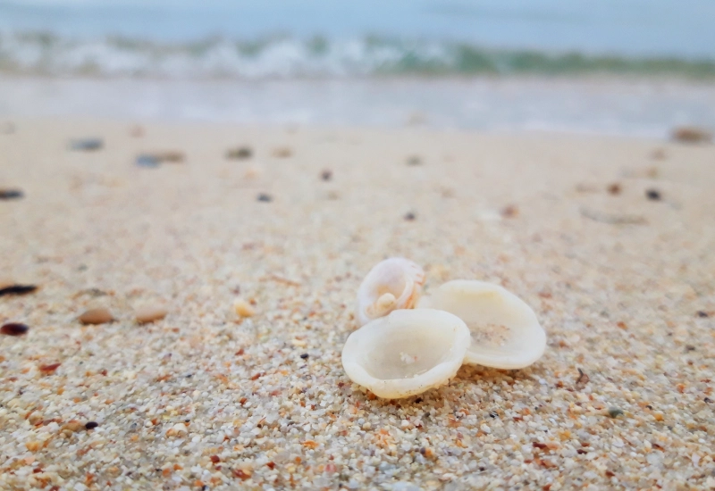 Dukhan beach camping